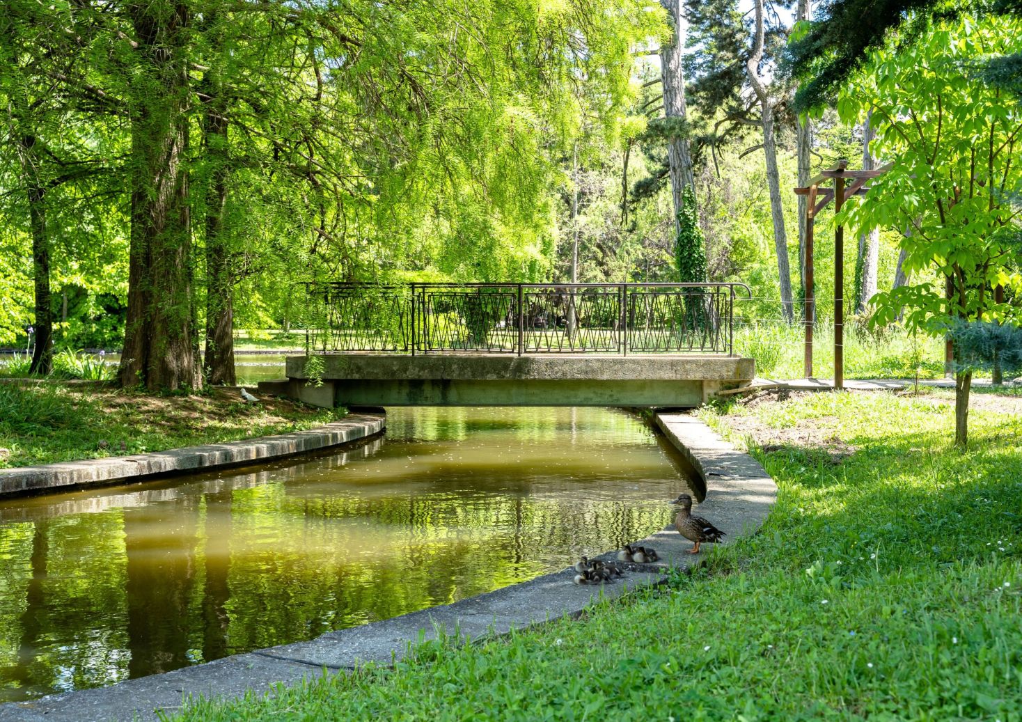 Park bridge