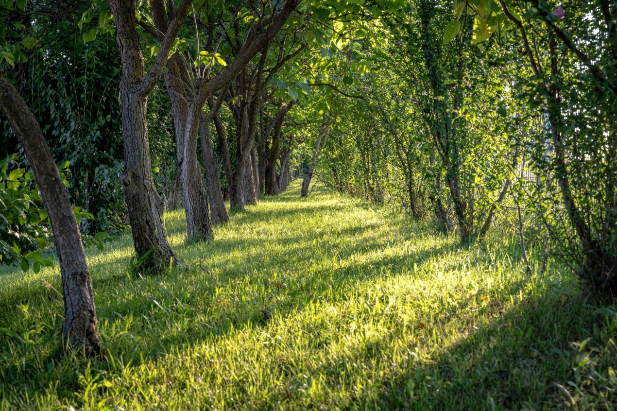 The green way